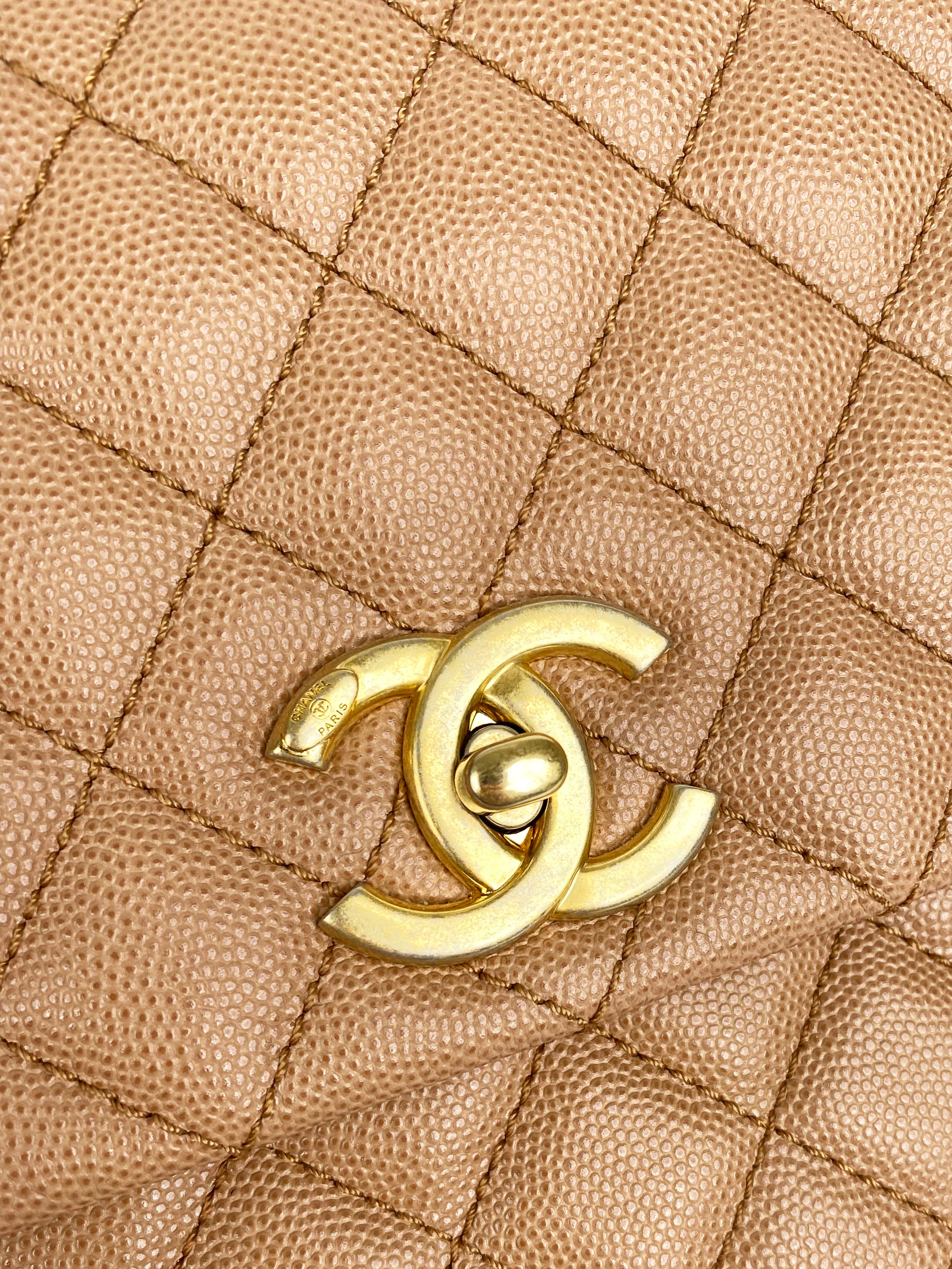 Chanel Large Beige Coco Lizard Handle Bag