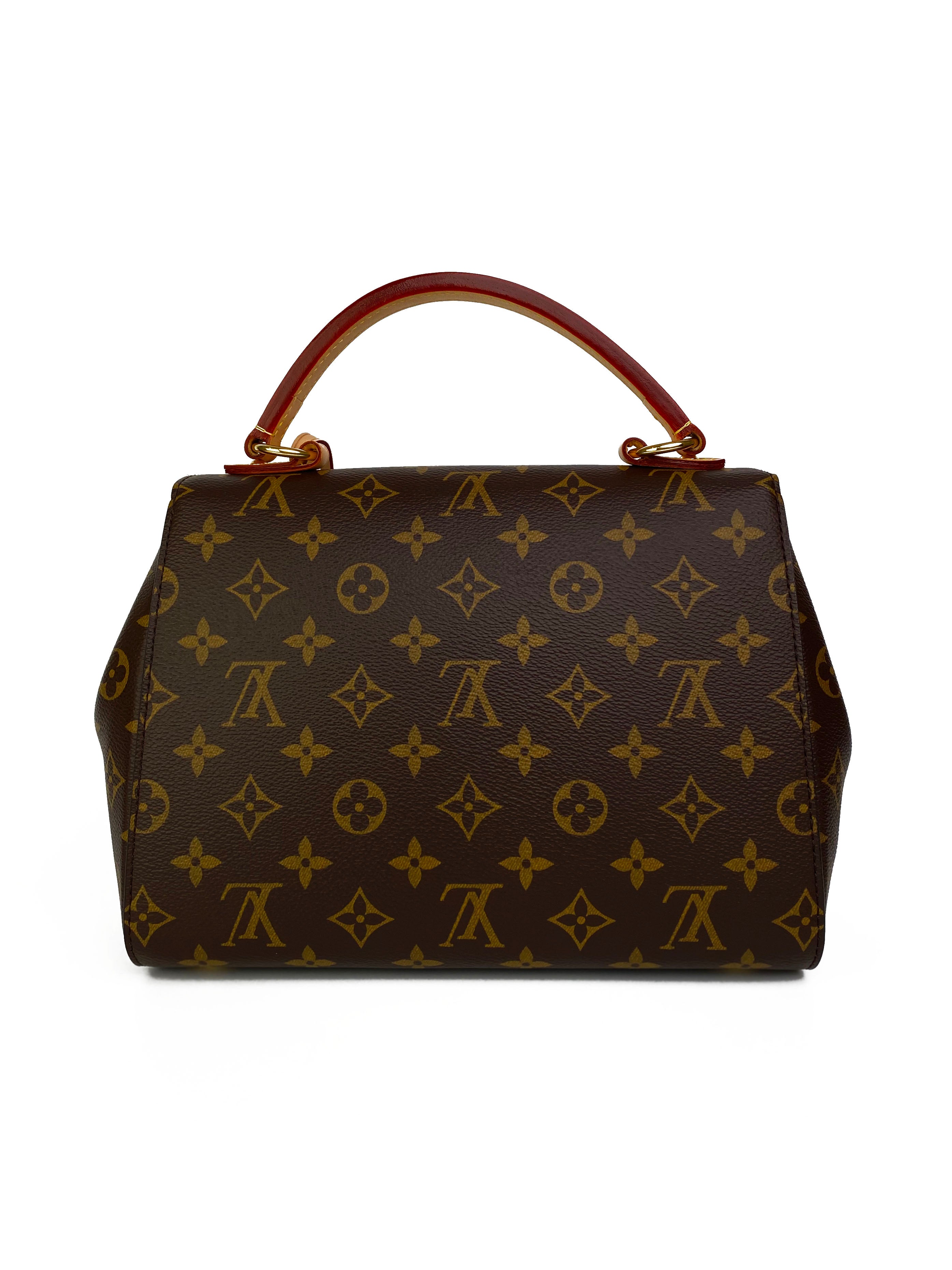 LouisVuittonMonogramClunyBBBag-10.jpg