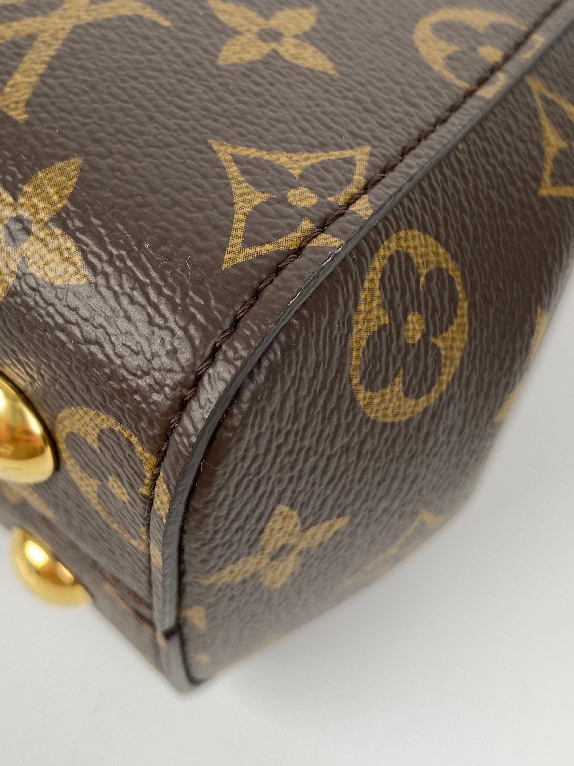 Louis Vuitton Monogram Cluny BB Bag