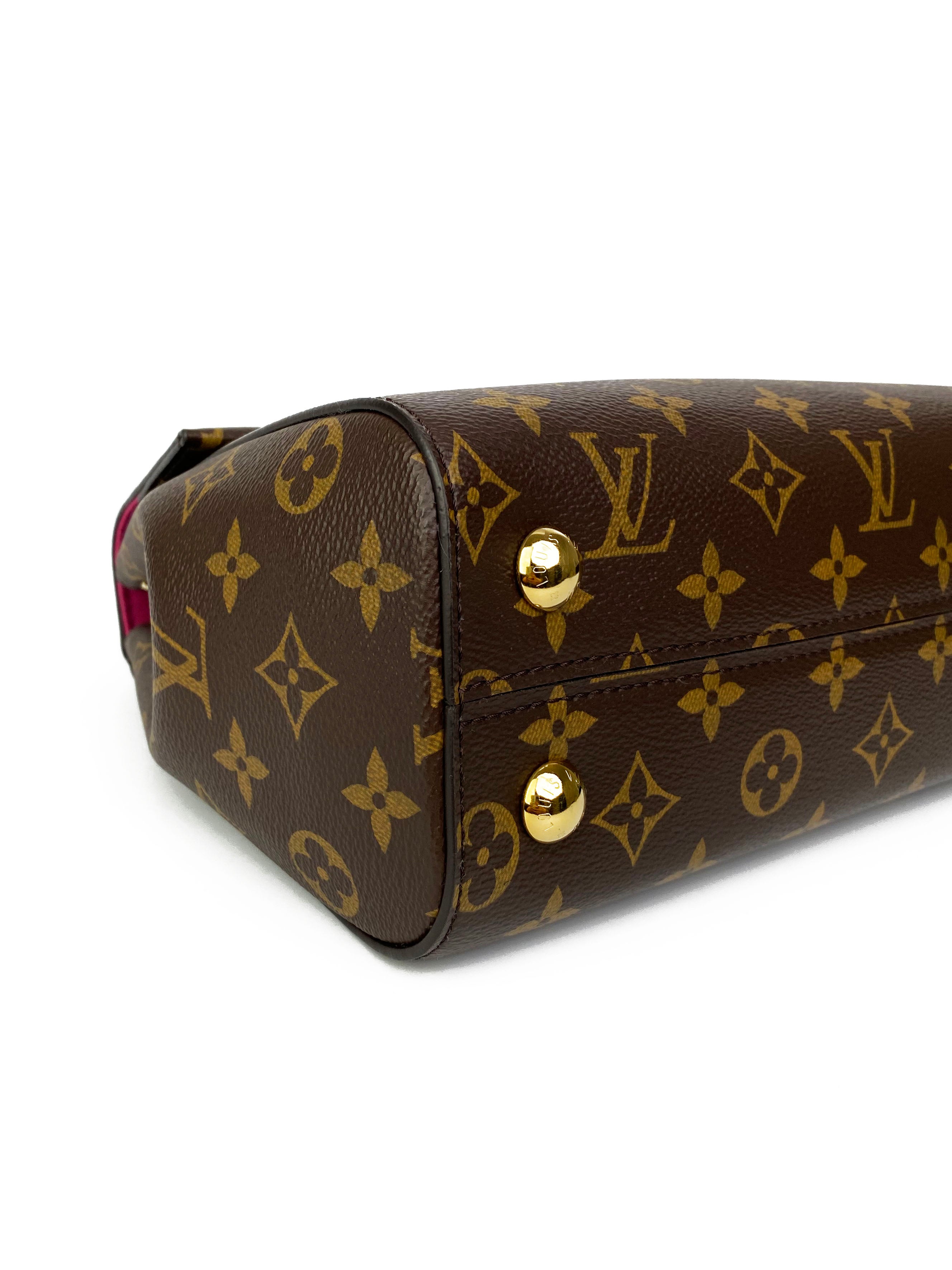 Louis Vuitton Monogram Cluny BB Bag