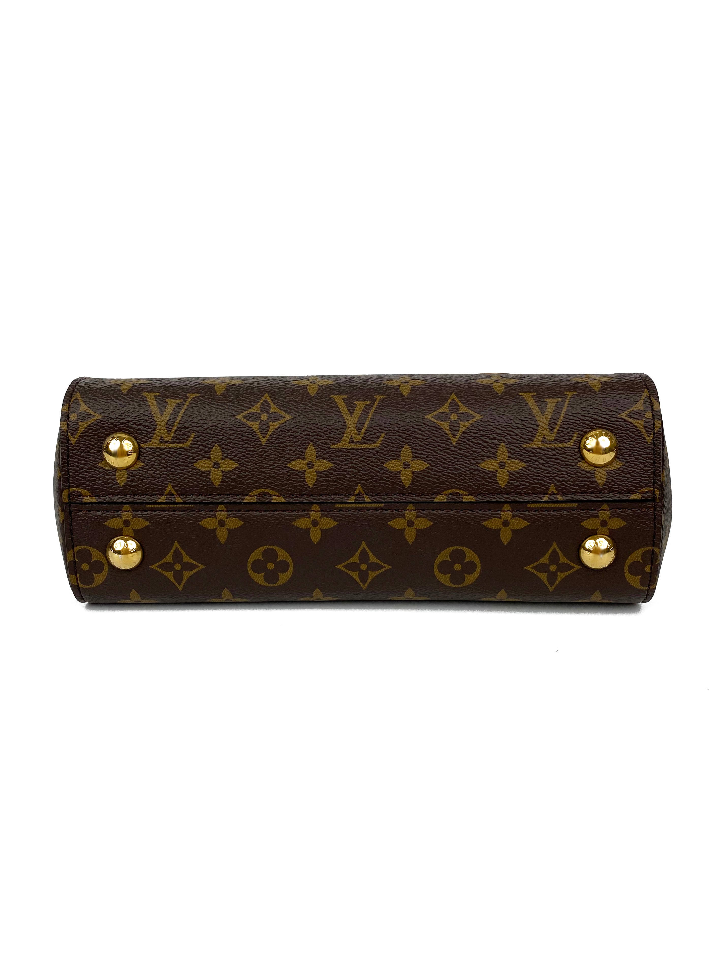 Louis Vuitton Monogram Cluny BB Bag