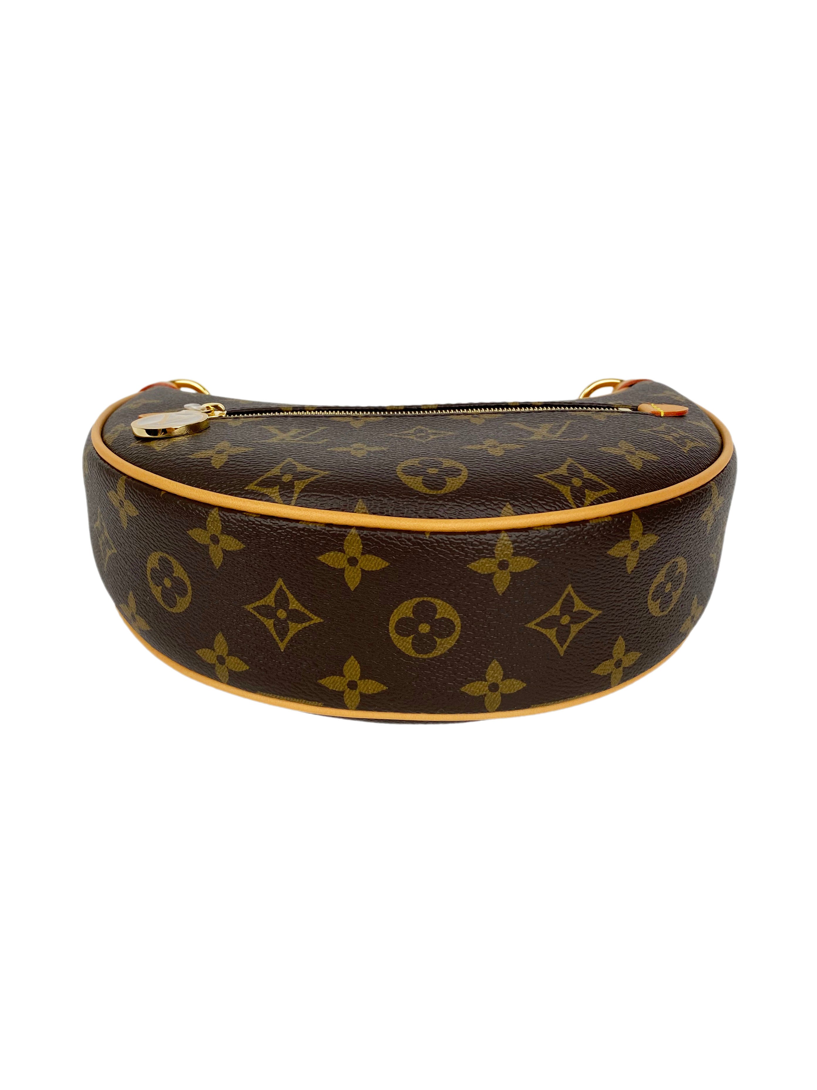 Louis Vuitton Monogram Loop Bag