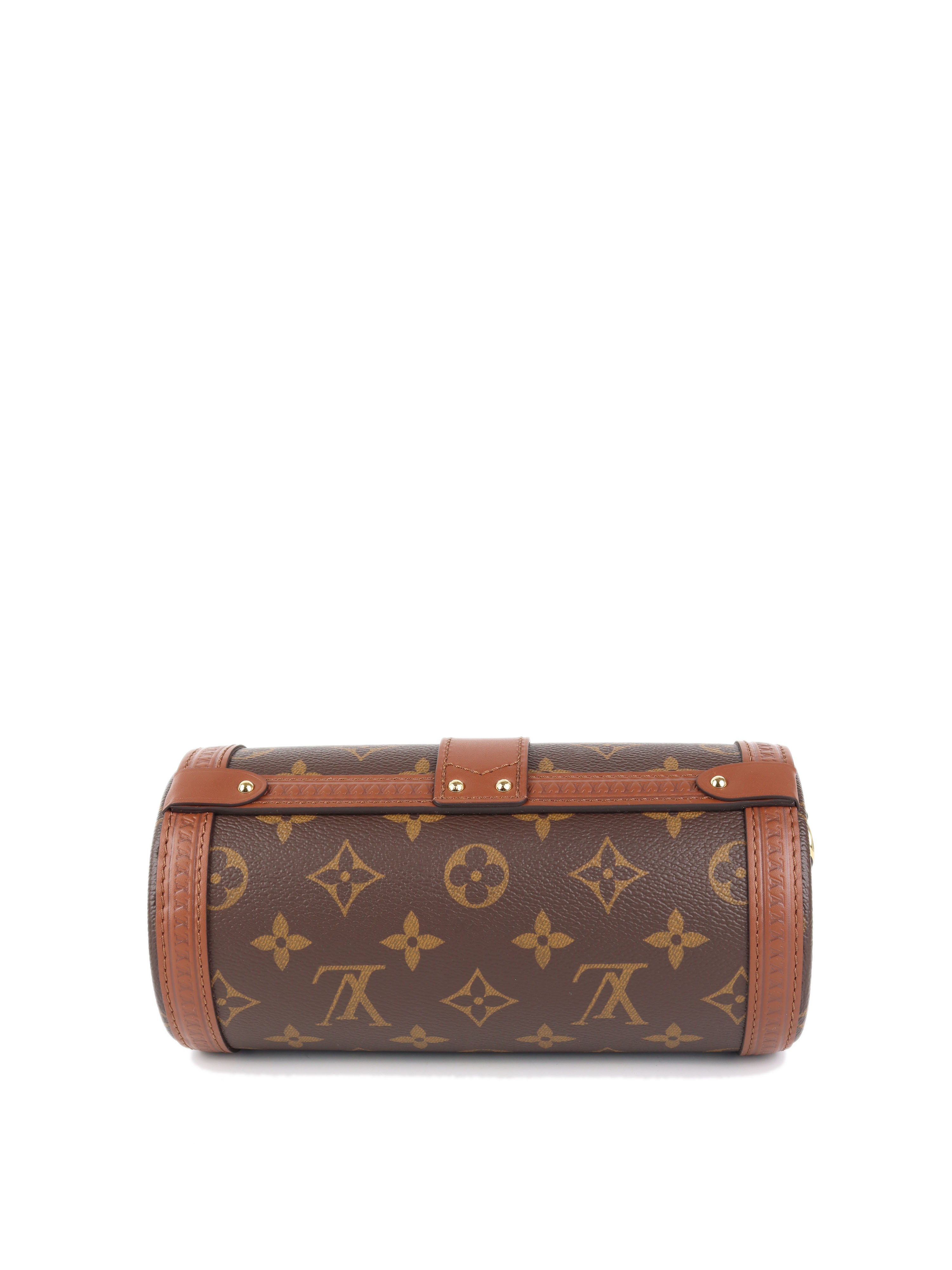 Louis Vuitton Monogram Papillon Trunk Bag