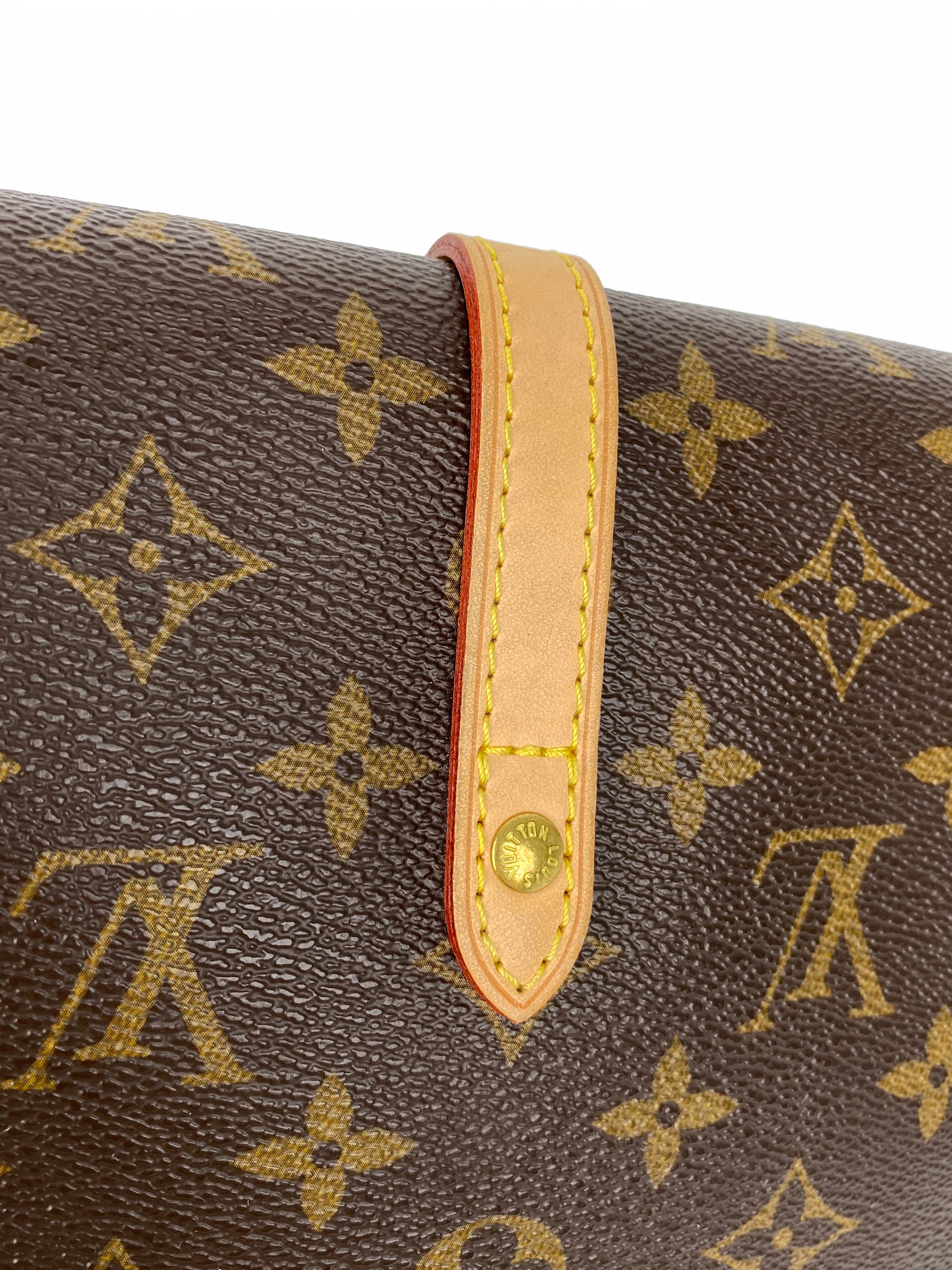 Louis Vuitton Monogram Shanti PM Bag