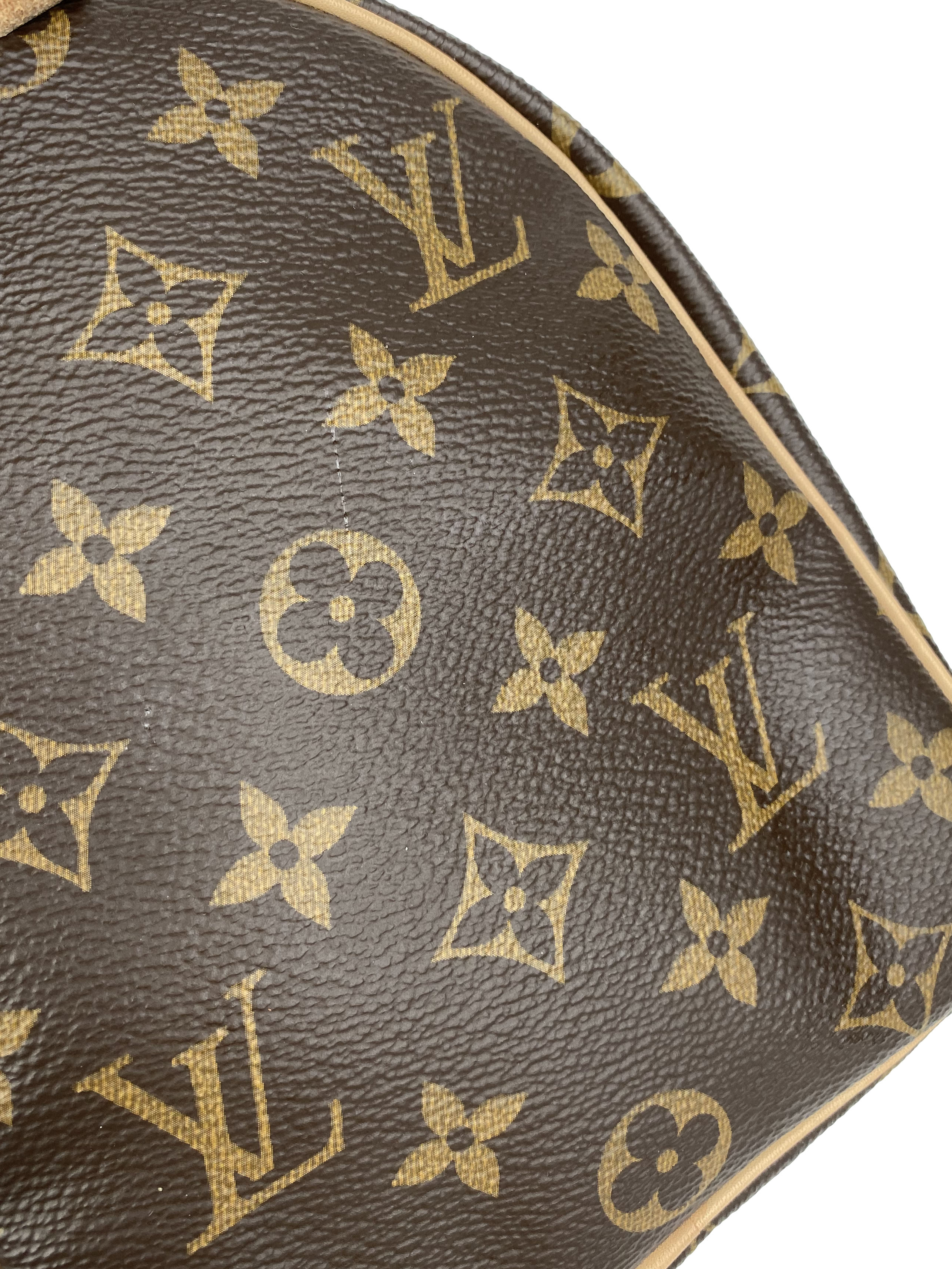 Louis Vuitton Monogram Speedy 25 Bag