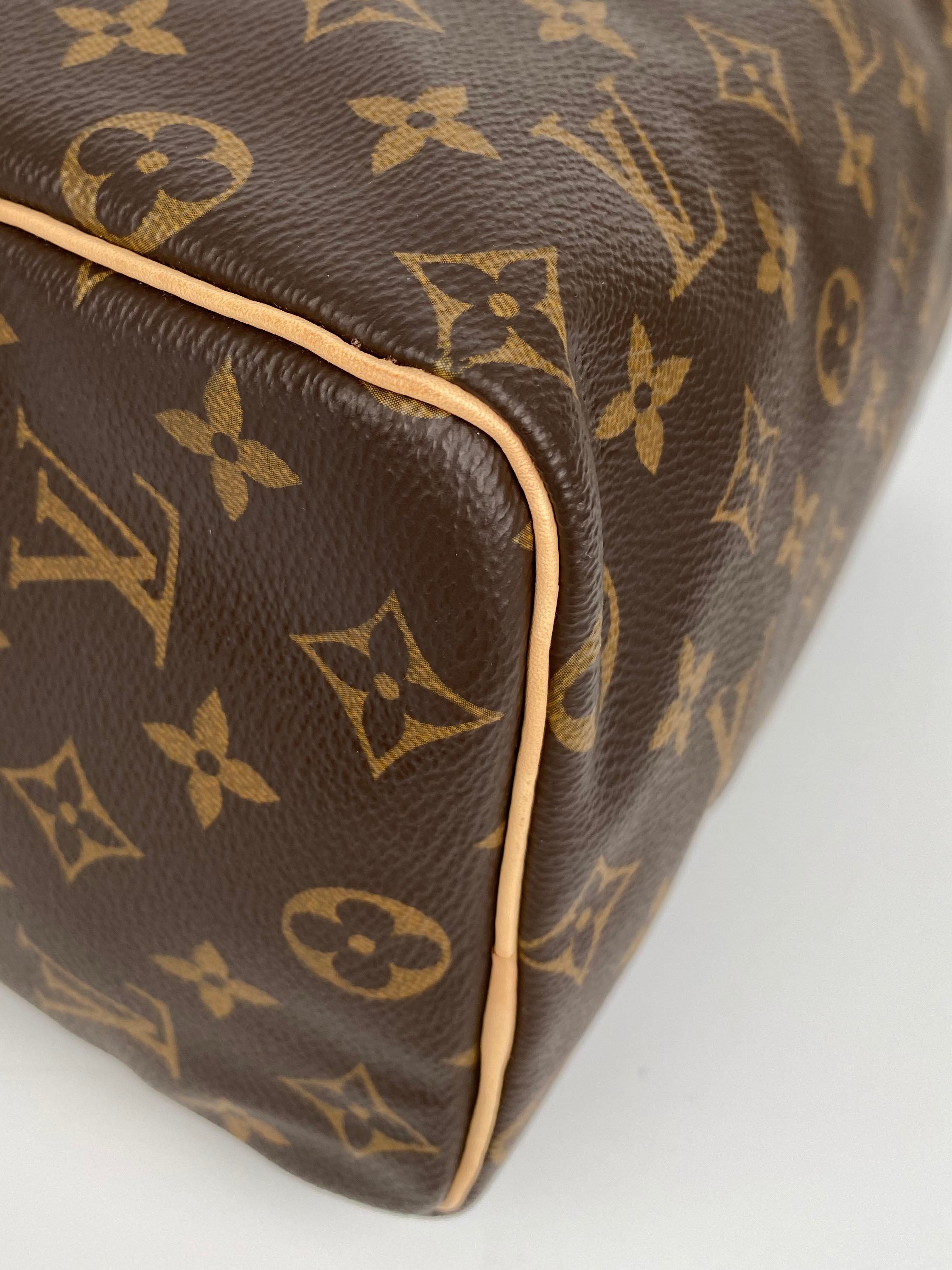 Louis Vuitton Monogram Speedy 25 Bag