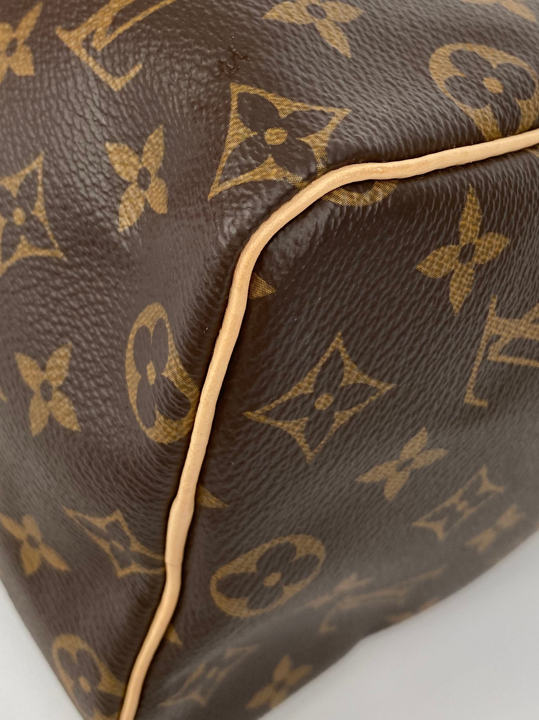 Louis Vuitton Monogram Speedy 25 Bag