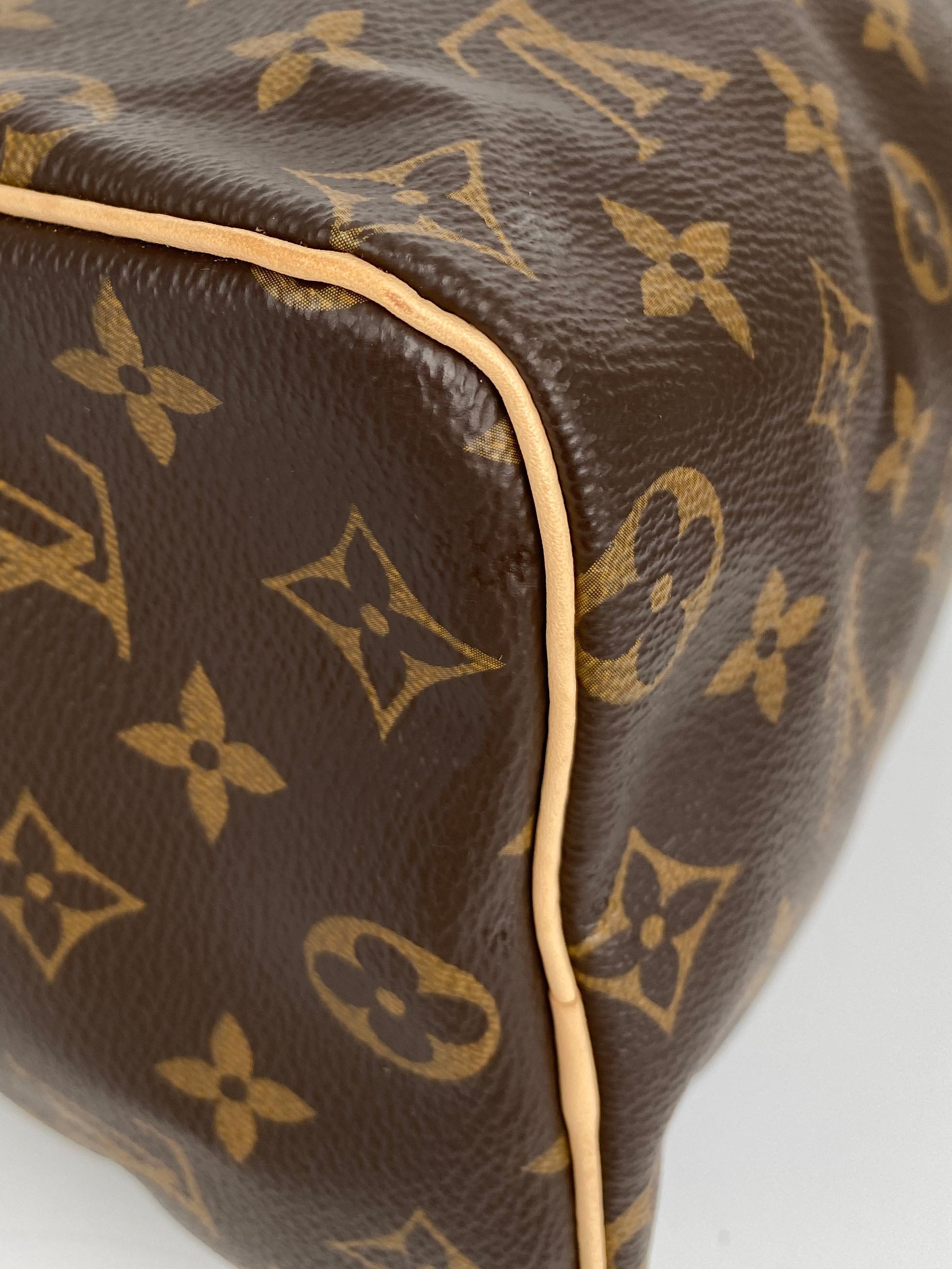 Louis Vuitton Monogram Speedy 25 Bag