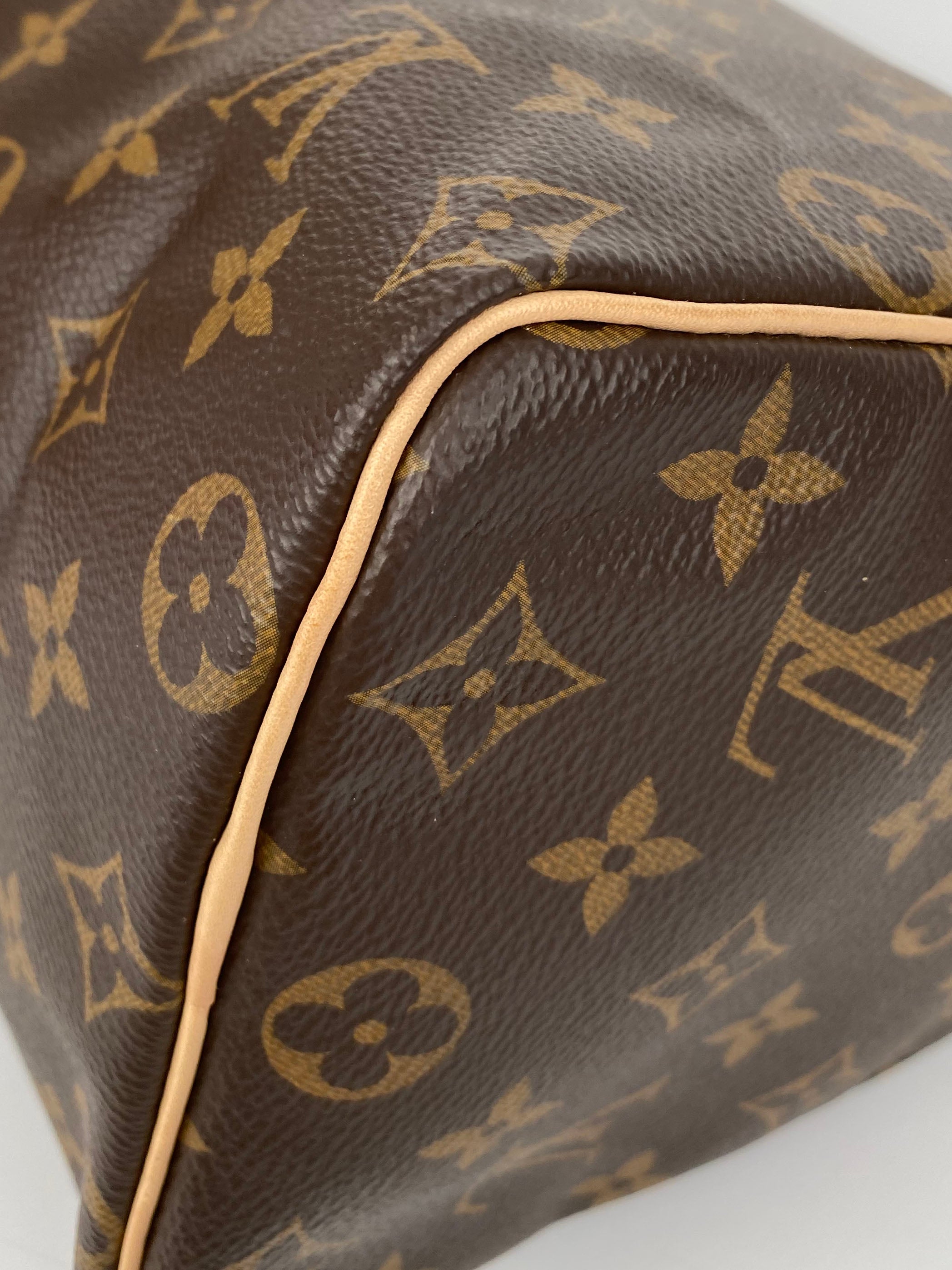 Louis Vuitton Monogram Speedy 25 Bag