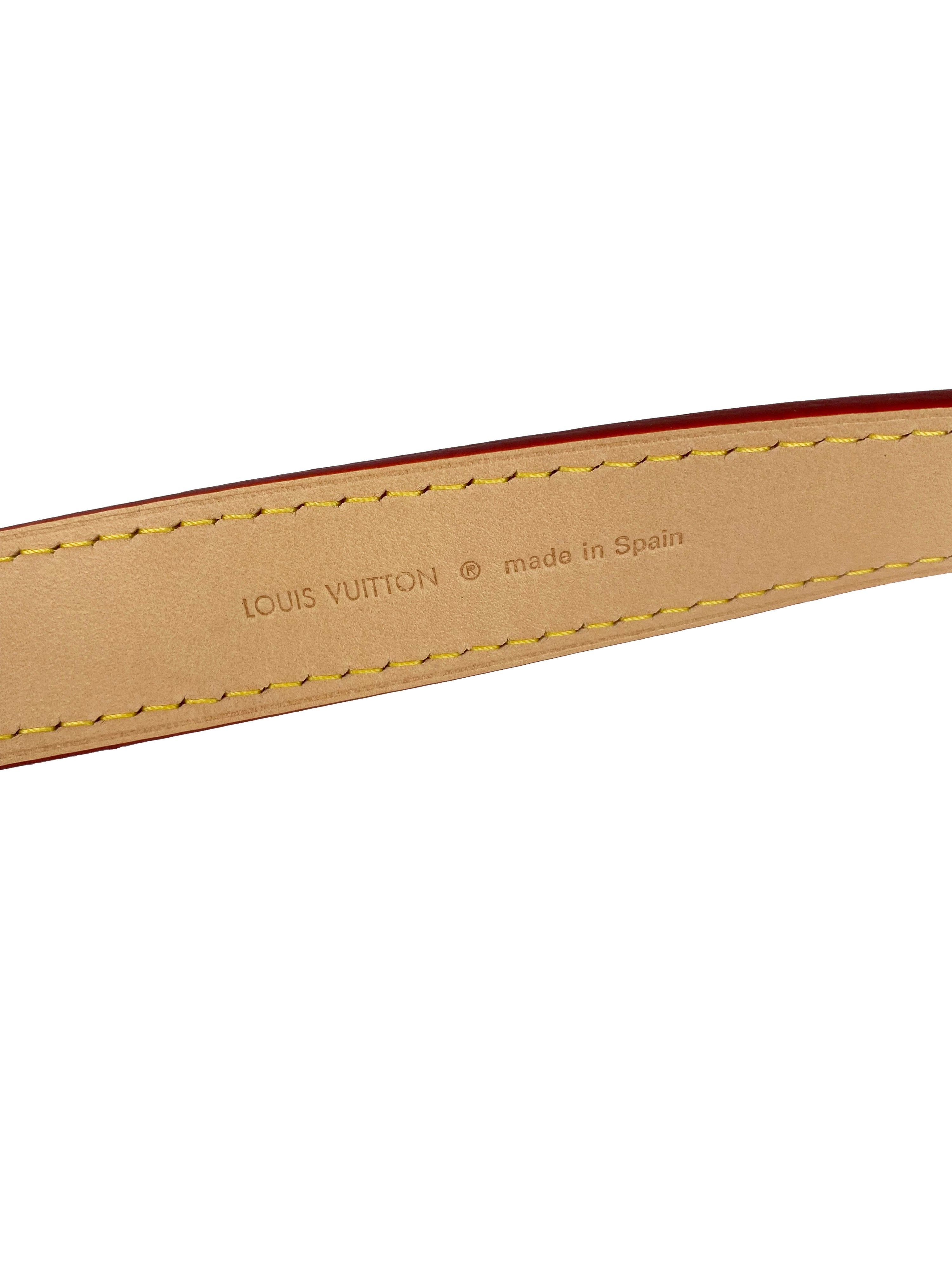 Louis Vuitton VVN Shoulder Strap